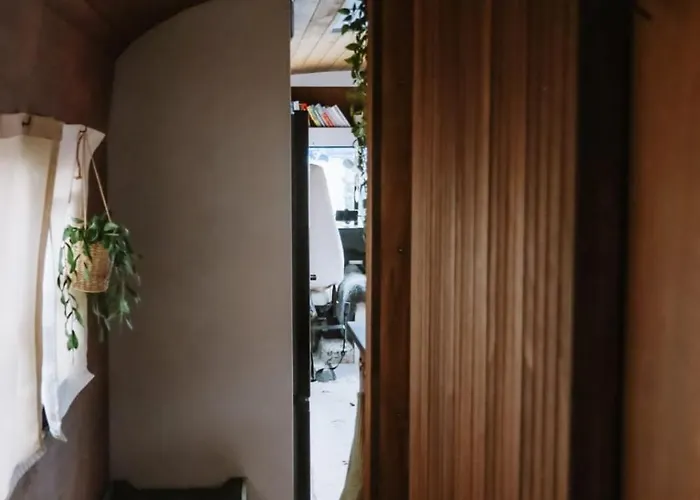 Campingplatz Unieke Overnachting In Amerikaanse Schoolbus