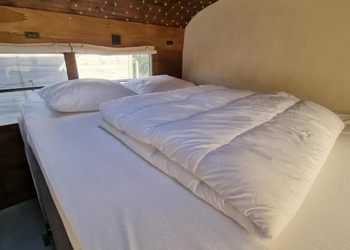 Unieke Overnachting In Amerikaanse Schoolbus Campingplatz Breezand