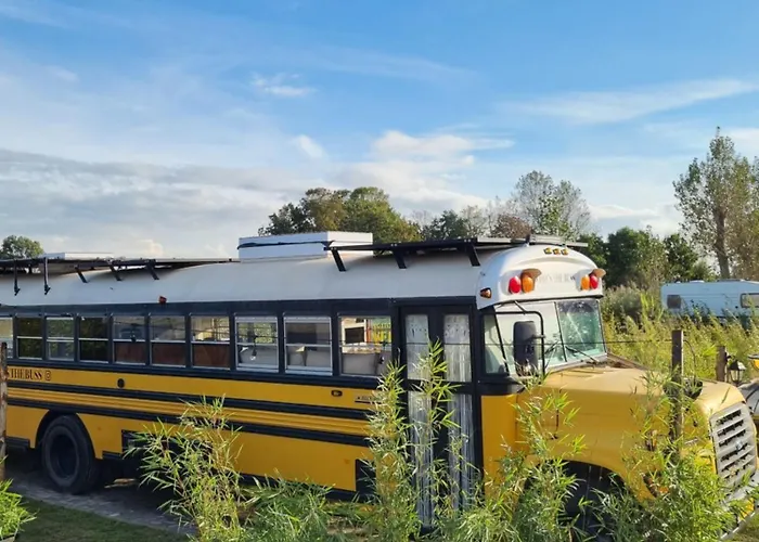 Unieke Overnachting In Amerikaanse Schoolbus Breezand